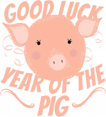 Good Luck Year Of The Pig Beanie - Front Design