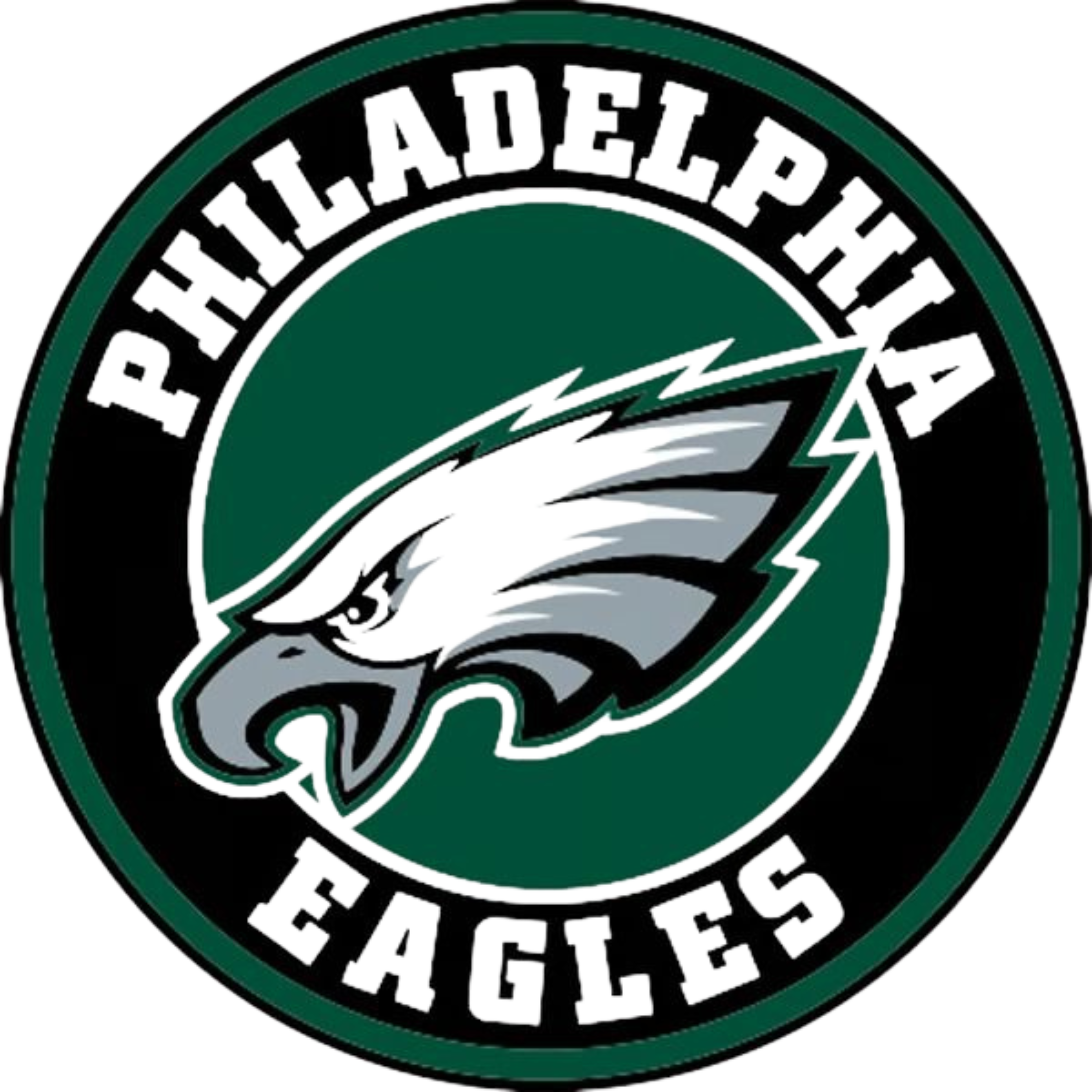 Philadelphia Eagles Snapback Cap - Front Design